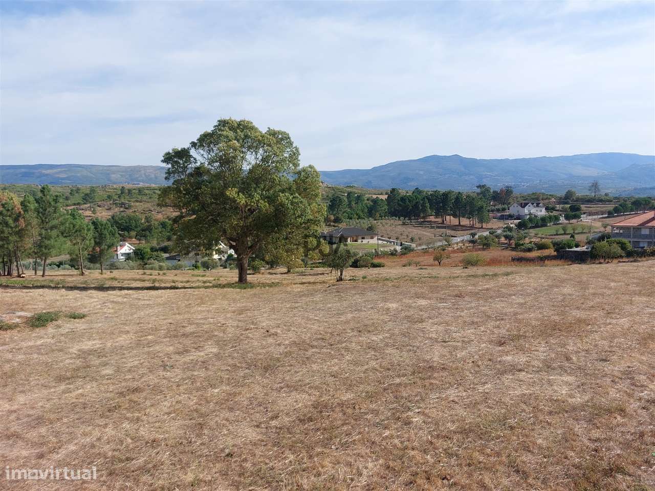 Terreno com viabilidade construtiva em Vila Ruiva, Fornos de Algodres - Grande imagem: 4/9
