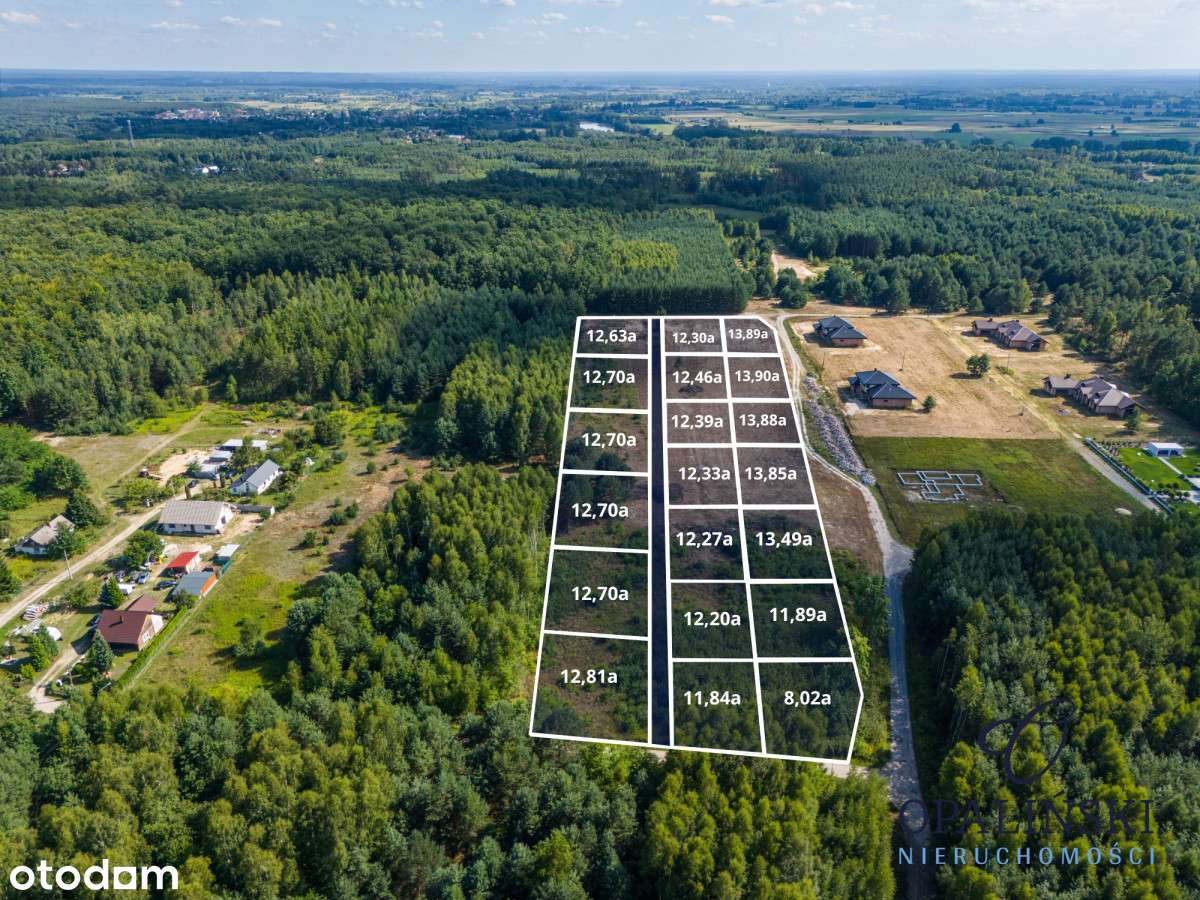 Otoczenie lasu | Cicha okolica | Mpzp | Inwestycja-14