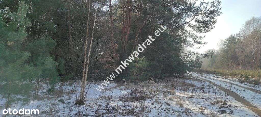 ⭐⭐⭐⭐⭐ Ładna zalesiona działka z Mpzp ⭐⭐⭐⭐⭐-2