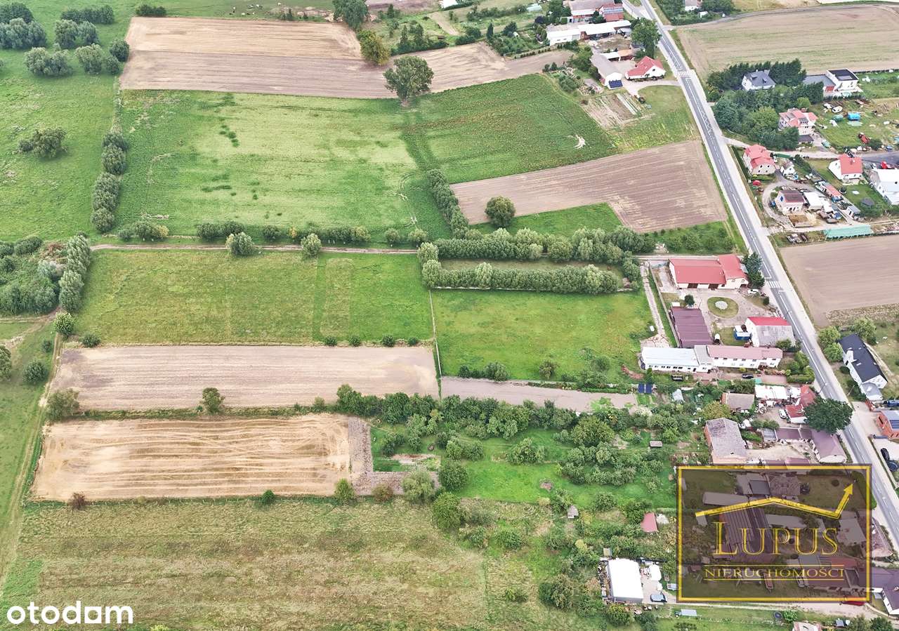 Działki budowlane w Kunowie - Pełny obrazek: 5/16