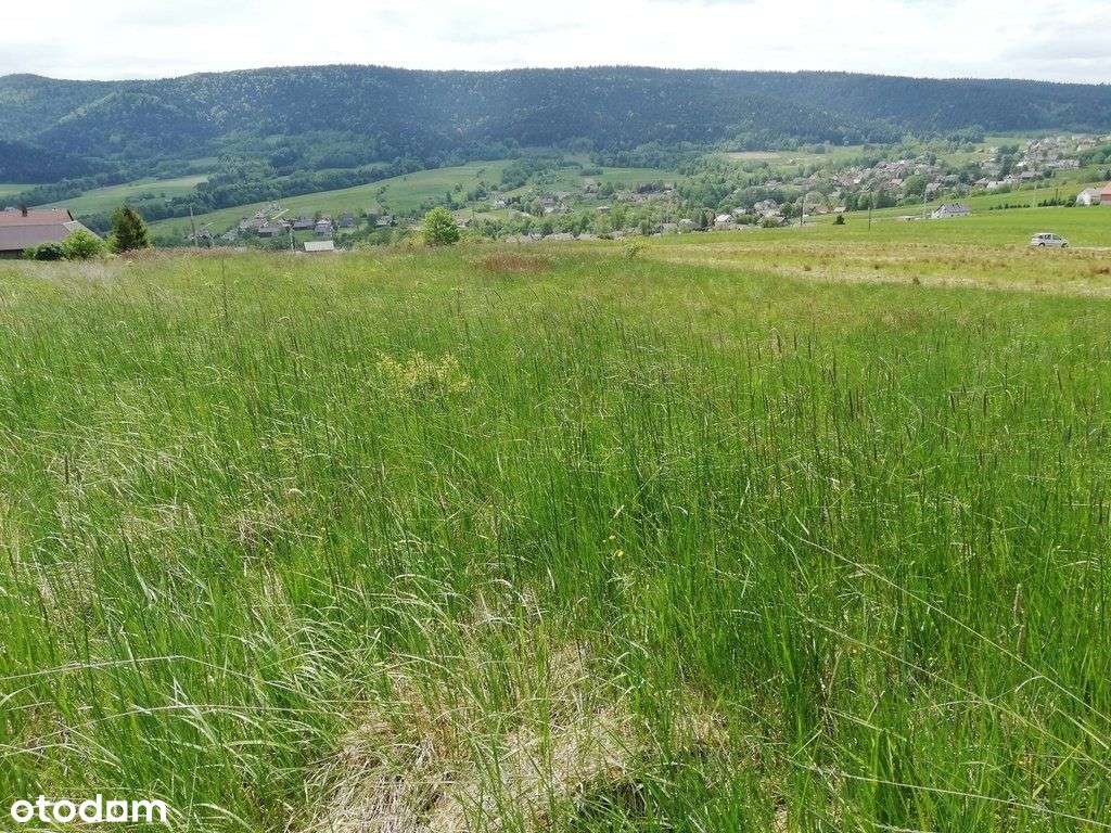 działka budowlana 79ar Ptaszkowa - Pełny obrazek: 5/10