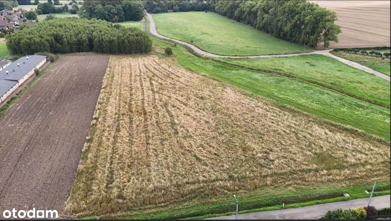 Działka ul. Damrota - Pełny obrazek: 3/4