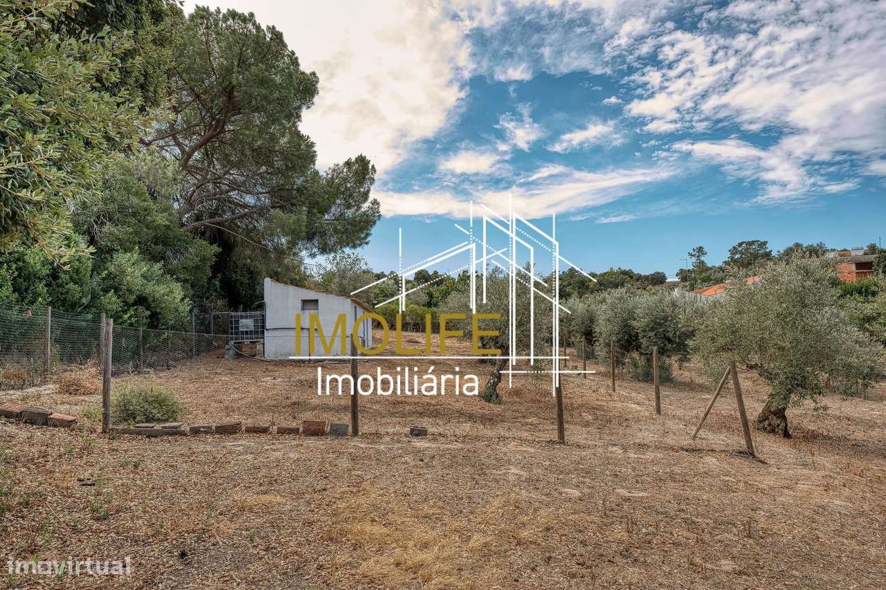 Quinta T4 em Mora-14