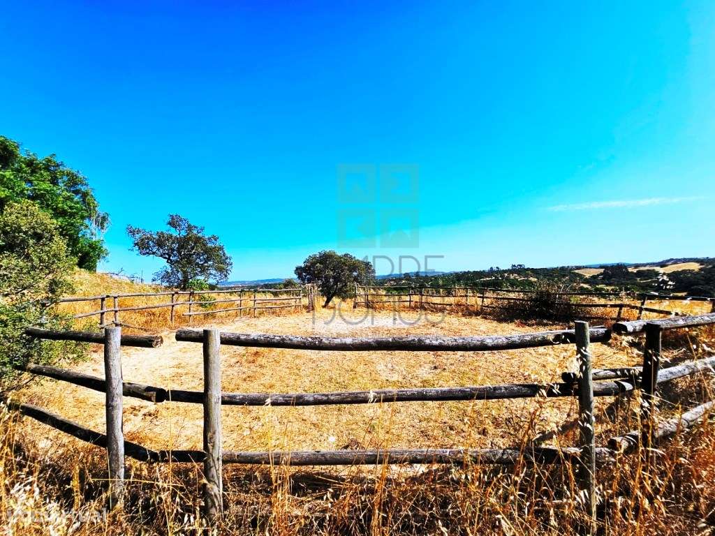 Herdade equestre com moradia T5 e piscina, 93,5ha, em Ourique, Alen...-15