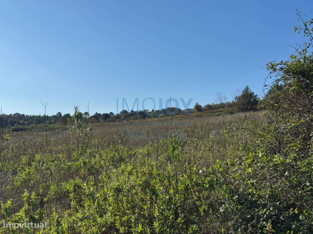 Magnífico Terreno Rústico com Ruína - Grande imagem: 5/30