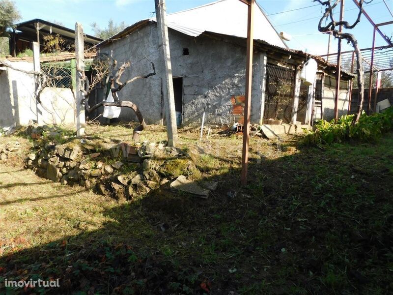 Terreno / Fundão, Telhado