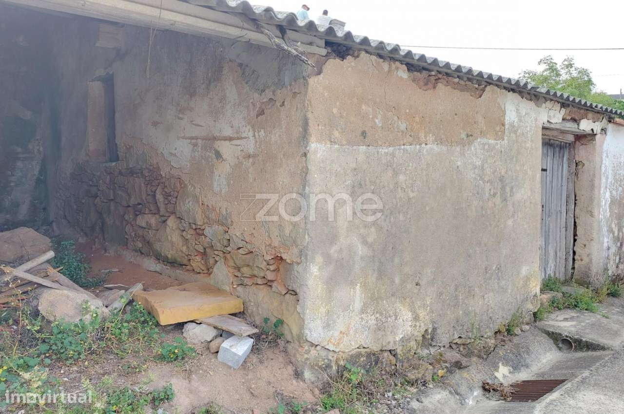 Arrecadação perto de Alcobaça - Grande imagem: 1/17