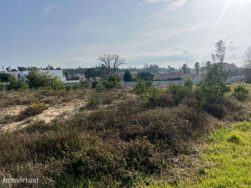 Vendo terreno , Ermida , Mira - Grande imagem: 4/4