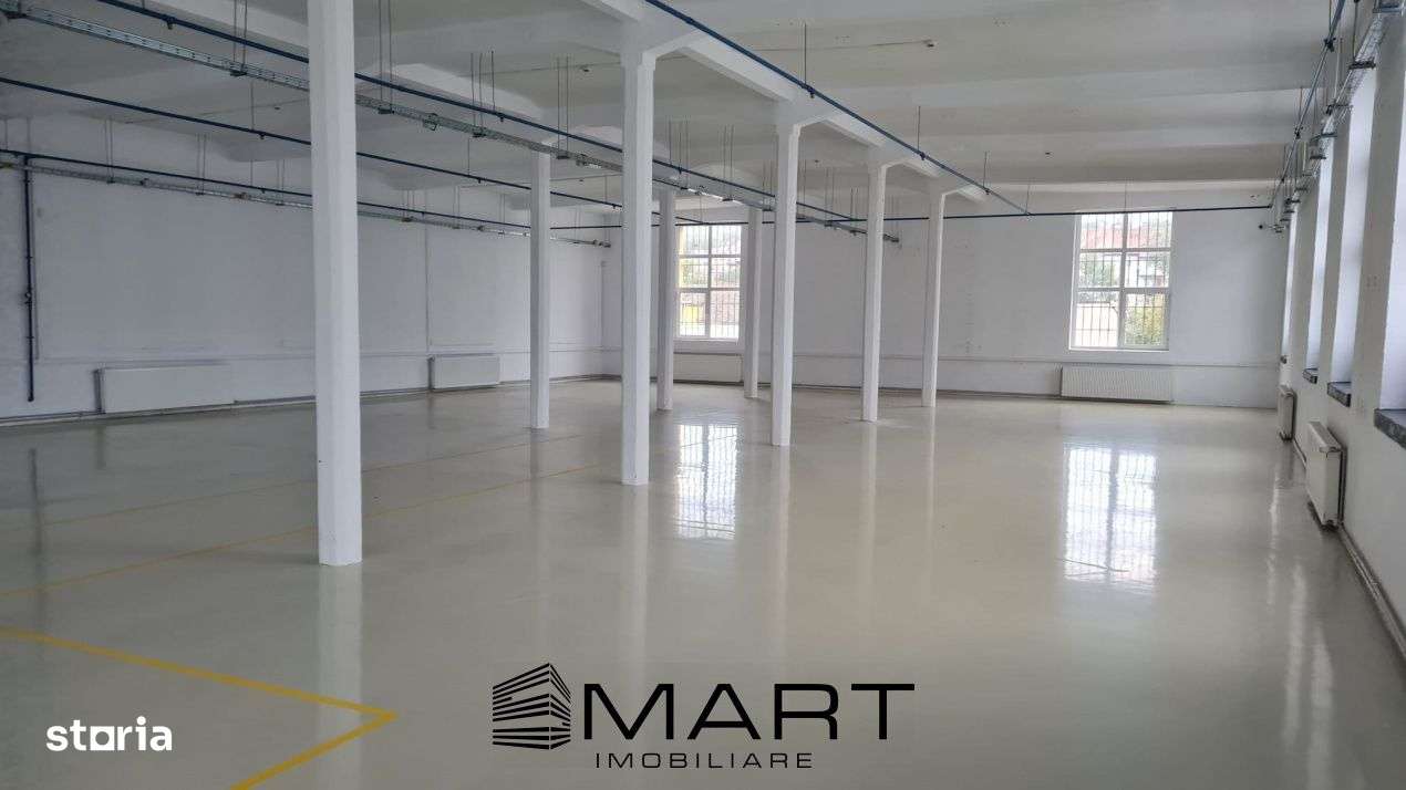 Spatii de inchiriat – Depozitare | Productie | Birouri Cisnadie - Imagine principală: 2/11