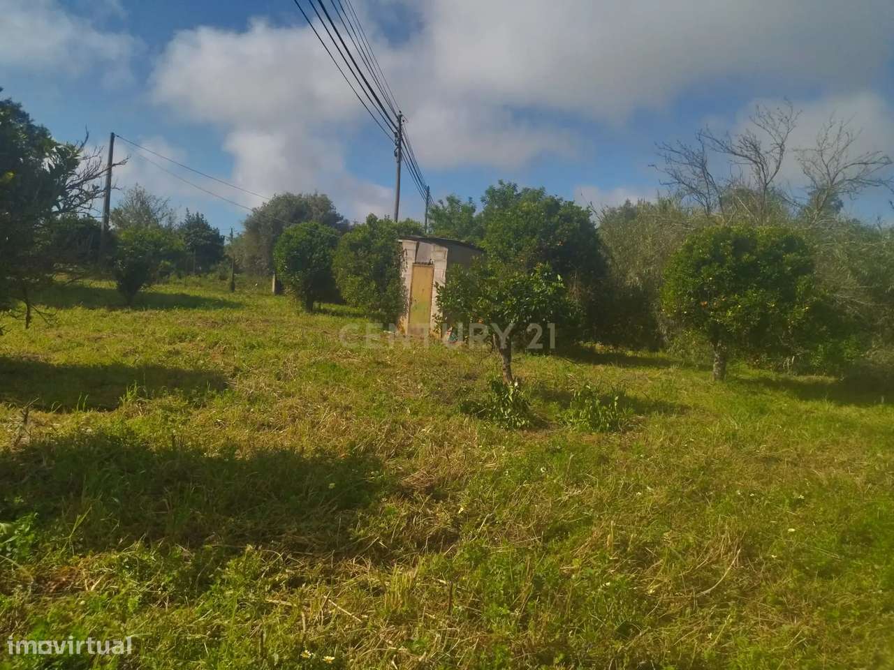 Terreno Rústico á Venda em Quelfes -  Algarve, 5560m2,  85,000€ - Grande imagem: 3/11