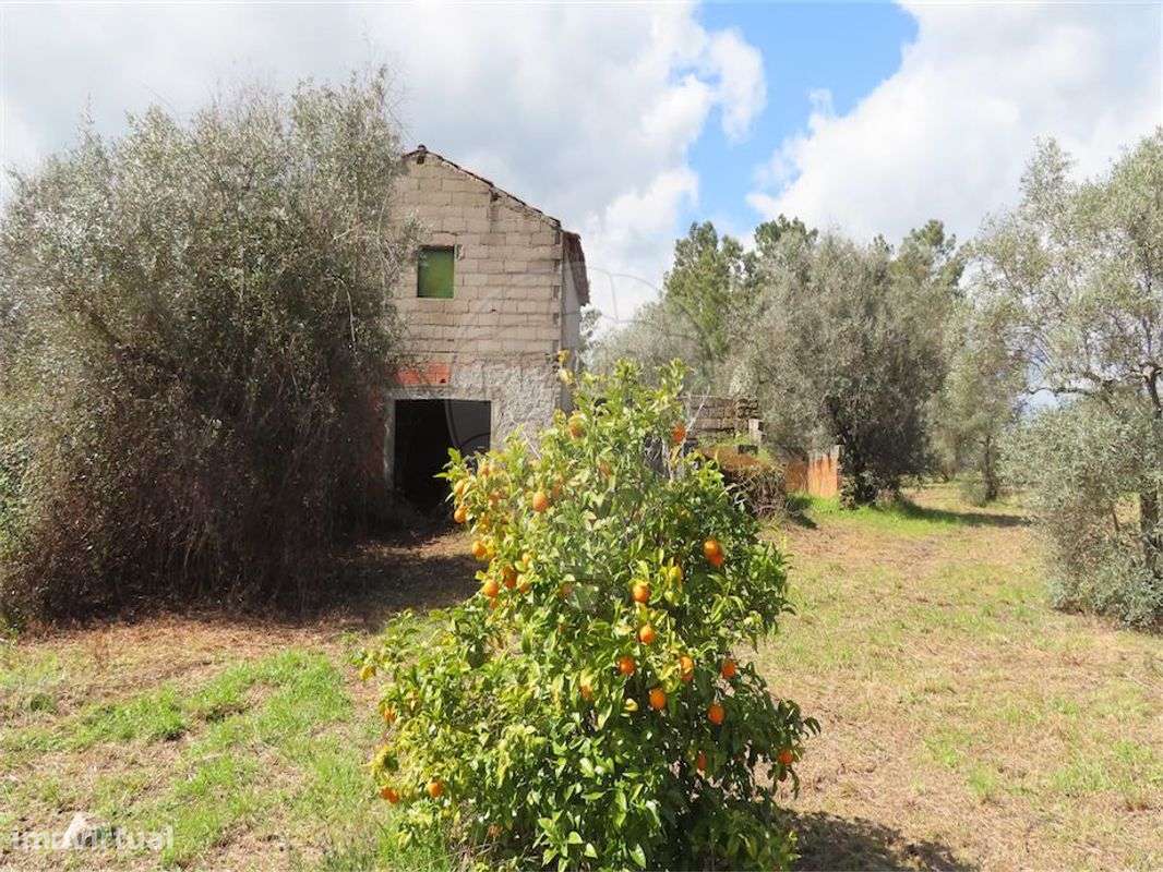 Quinta  para venda - Grande imagem: 5/37