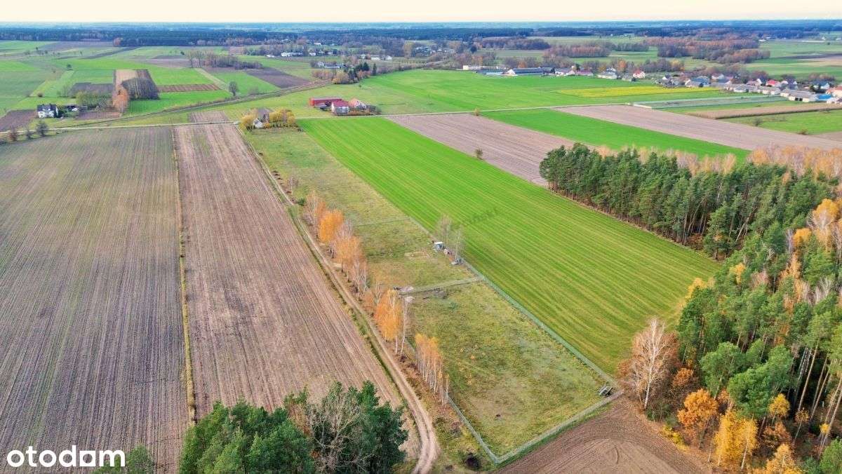 Działki budowlane w Gocłach, gm. Czerwin-4