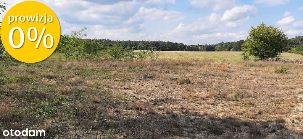 Urokliwa działka z widokiem na las- Letnica - Pełny obrazek: 5/6