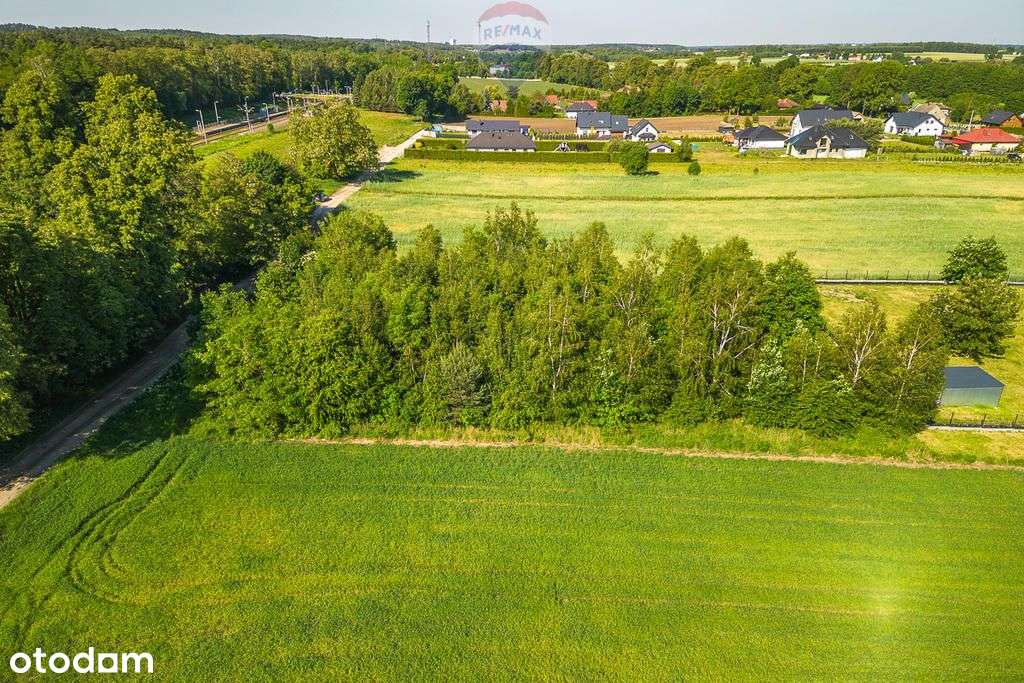 Spokojna działka pod Twój dom, 10 min od Zgierza - Pełny obrazek: 5/5