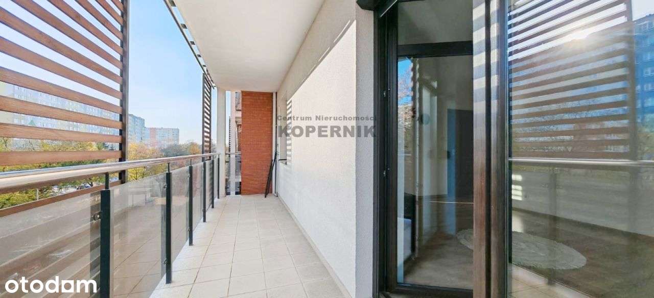 Podgórna- jedyny taki widok na 400 letni dąb - Pełny obrazek: 5/16