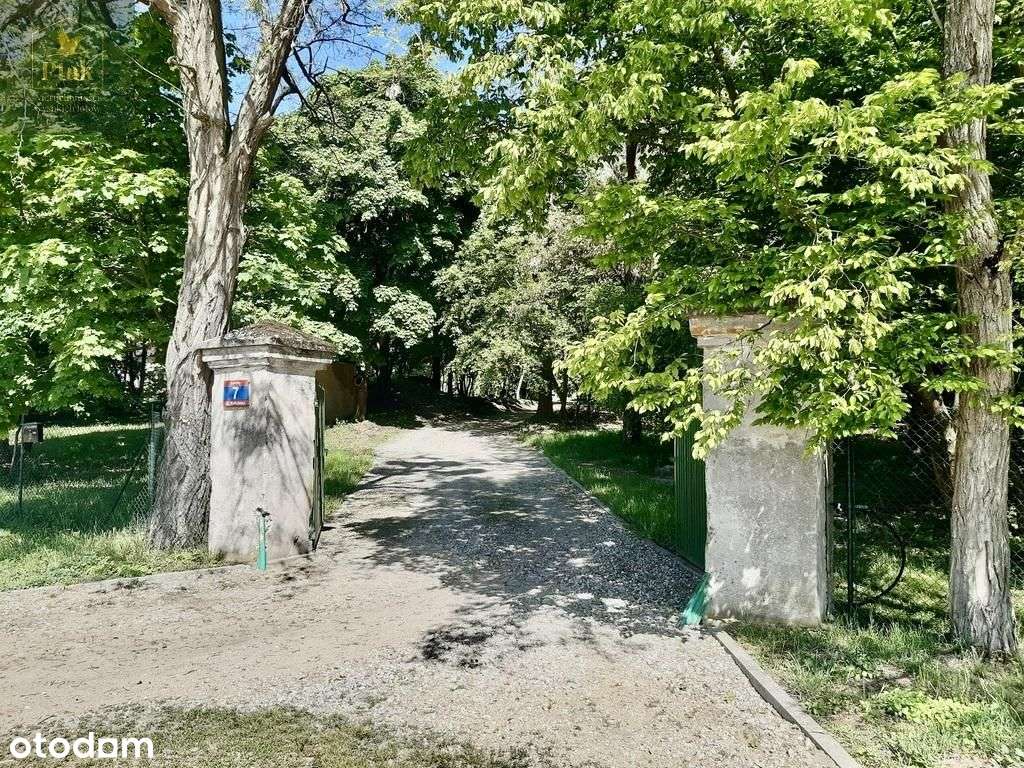 Z Parkiem*Pod Nowy Budynek*d.folwark*2,1 ha! - Pełny obrazek: 3/17