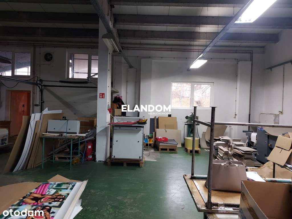 Hala produkcyjna na dużej działce - Pełny obrazek: 4/7