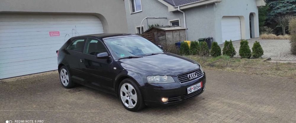 Audi A3 8P (2003-2012) 1.6 Ambition 2004