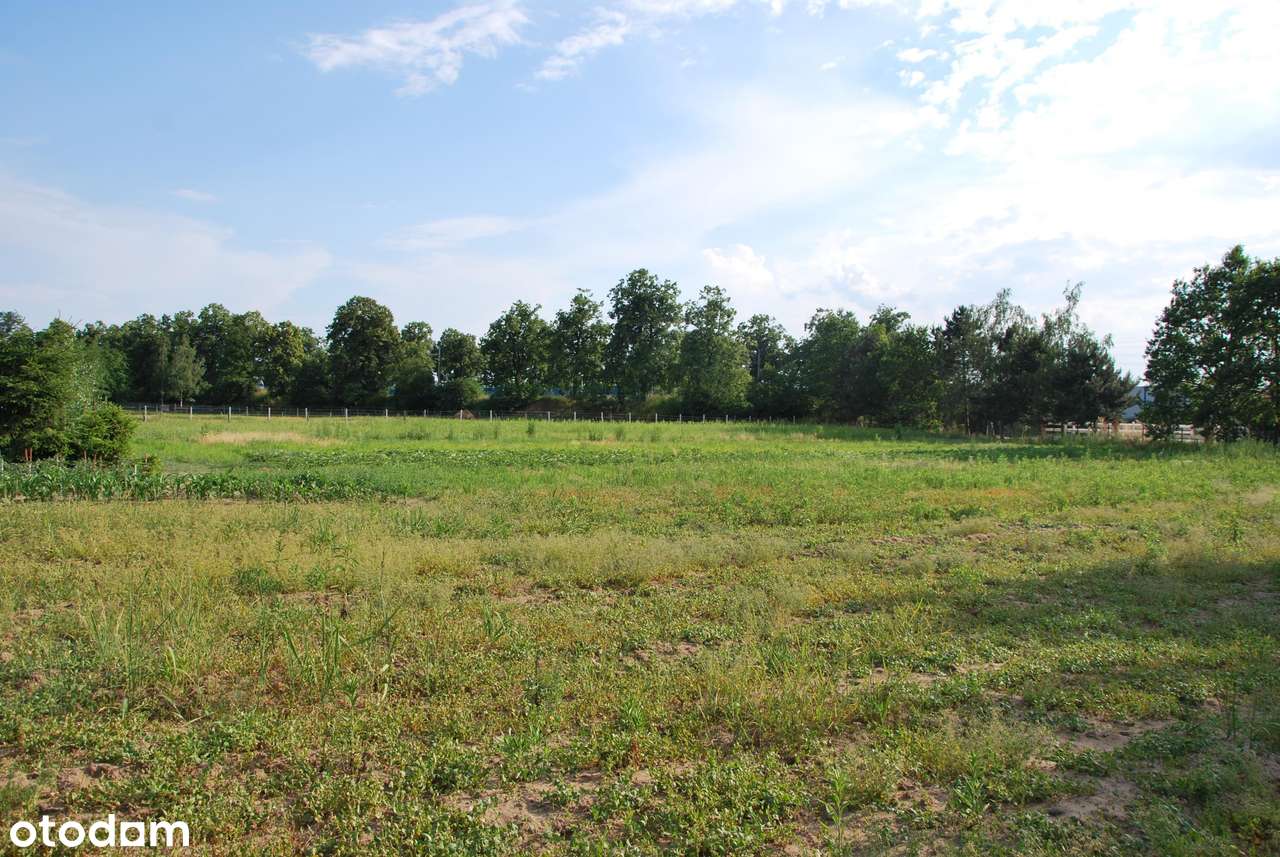 Spokojne miejsce na Twój dom we Wrocławiu-1