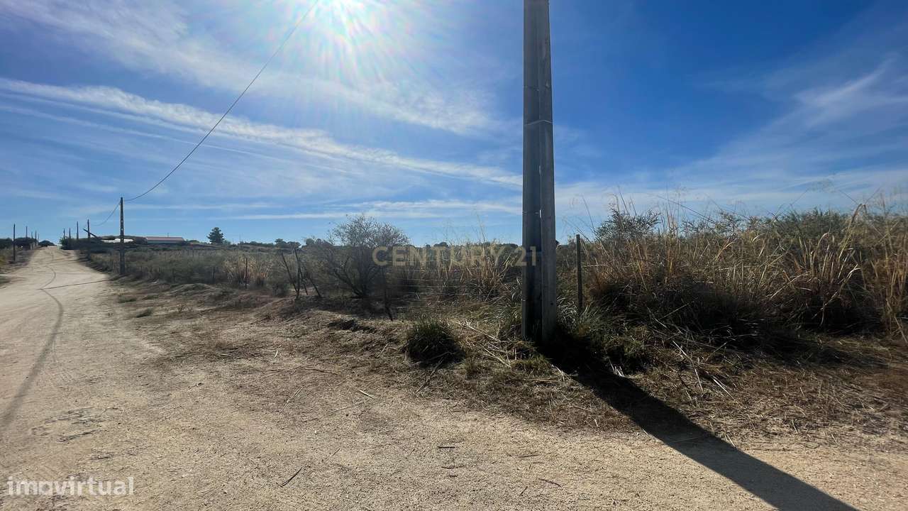 Terreno rústico | Lirião, Castelo Branco - Grande imagem: 2/8