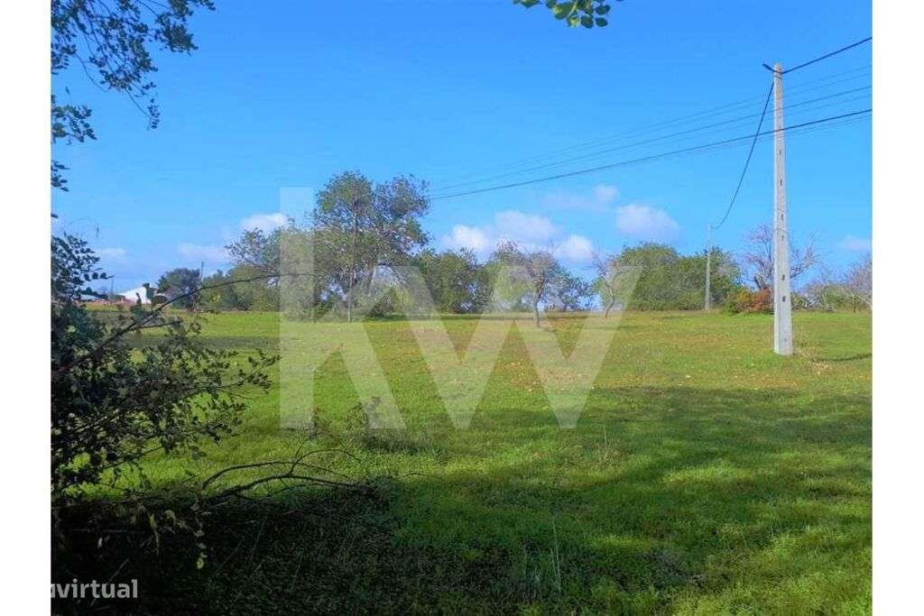 Terreno Rústico com 20.050m2 sito em Alpouvar, Albufeira. - Grande imagem: 5/9