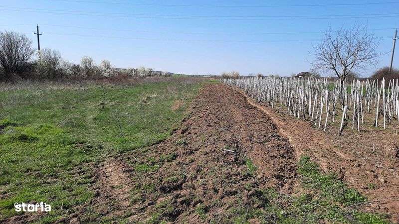 CASA  de vinzare- jud GIURGIU - Imagine principală: 5/8