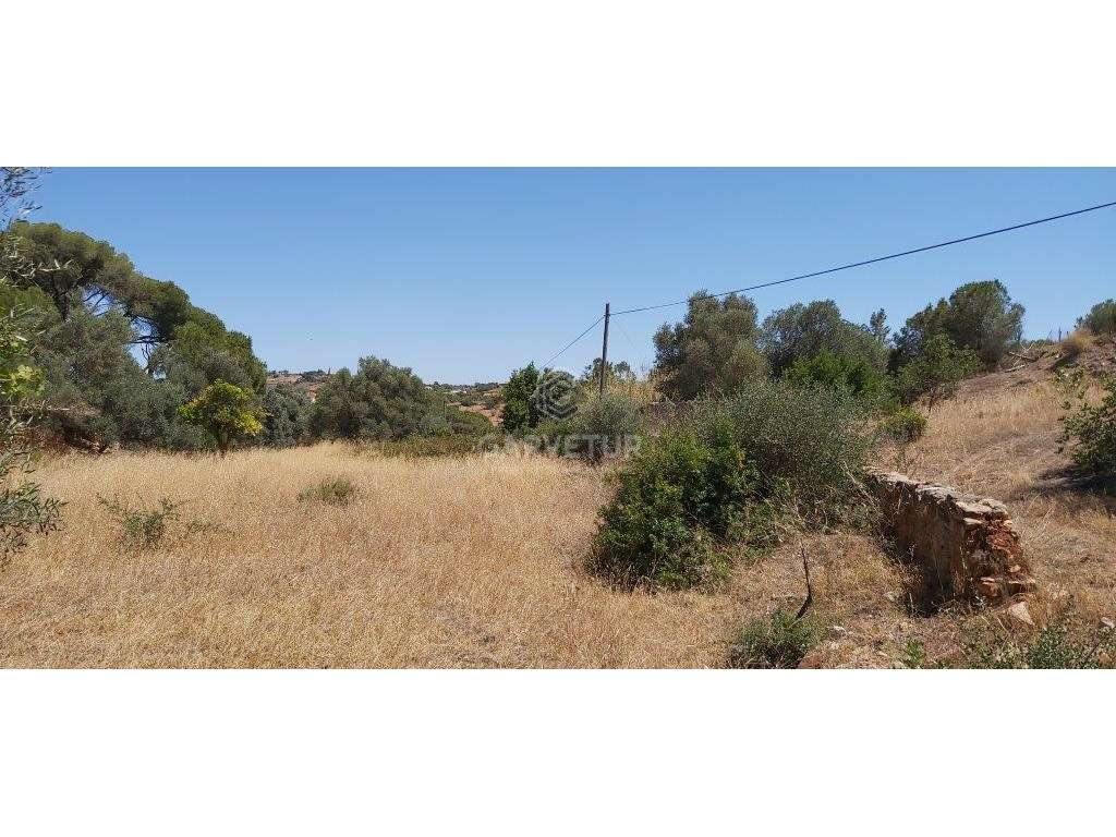 Terreno rústico, em zona agrícola, Albufeira, Algarve - Grande imagem: 3/36