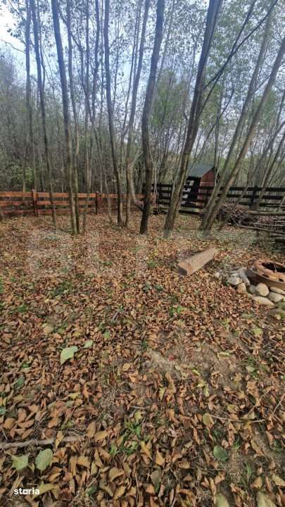 Pachet de 3 case in zona Tohanita, case tip A-frame  , 400 mp teren fi - Imagine principală: 5/15