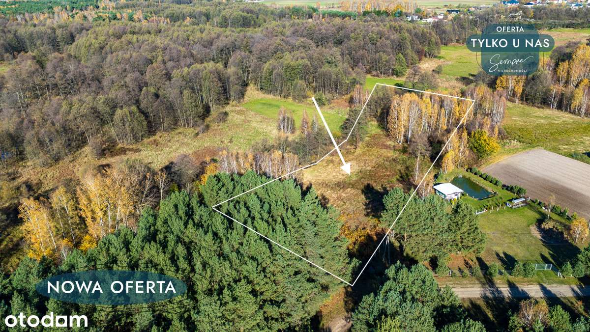 Działka w zielonej okolicy! Sromutka gm. Zelów - Pełny obrazek: 1/14