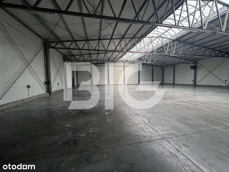 Hala magazynowa, produkcyjna, zaplecze socjalne, b - Pełny obrazek: 5/8