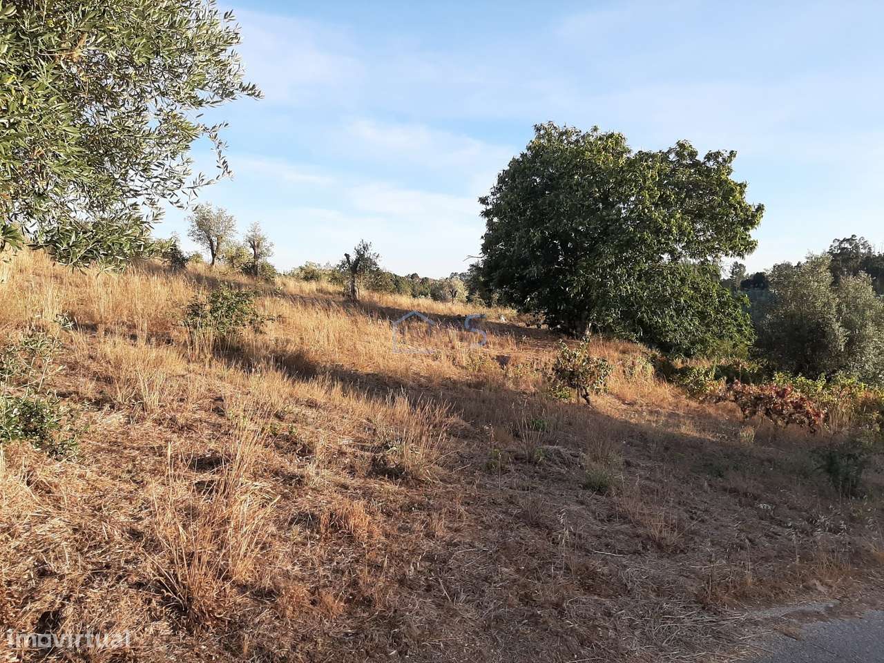 Terreno com Projeto Aprovado para Moradia em Besteiras – Águas Belas-15