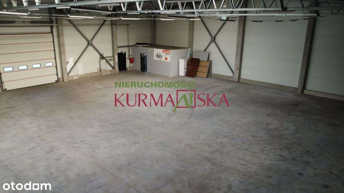 Hala produncyjno-magazynowa ul. Zimna - Pełny obrazek: 4/11