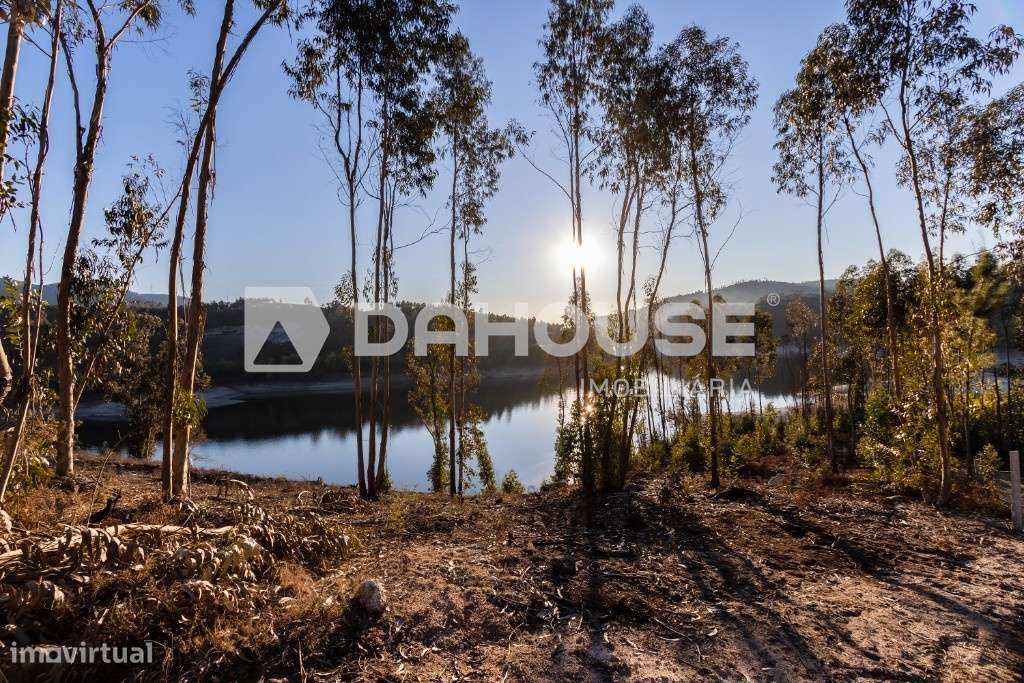 Terreno Junto a Barragem do Ermal - Grande imagem: 5/13