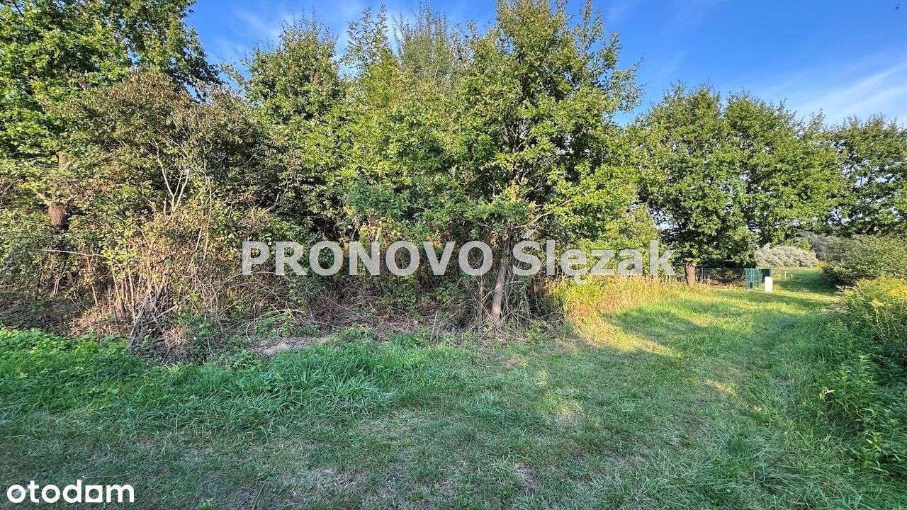 Sprzedam działkę budowlaną Morzęcin Mały-0