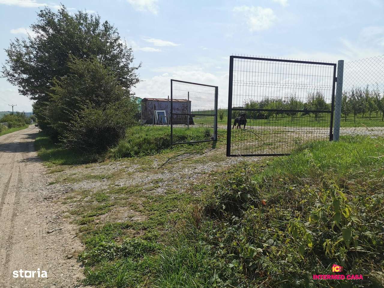 Teren sat de vacanta Daia - Imagine principală: 4/11