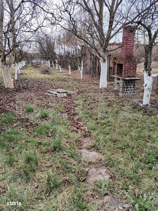 Teren de vanzare, 9000 mp, Zona Aurel Vlaicu - Imagine principală: 4/7