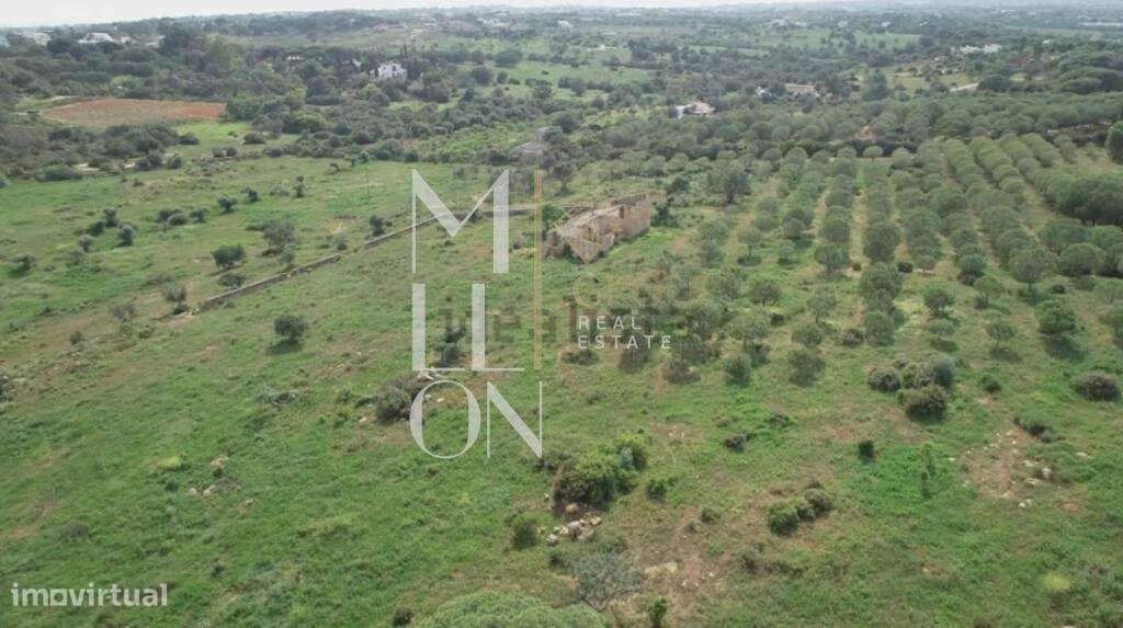 Quinta de 17 Hectares em Porches | A 5 Minutos do Mar | Potencial Turí - Grande imagem: 5/7