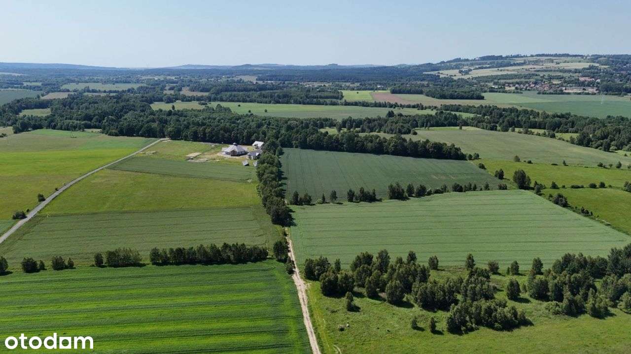 Działka, 46 000 m², Mroczkowice - Pełny obrazek: 5/5