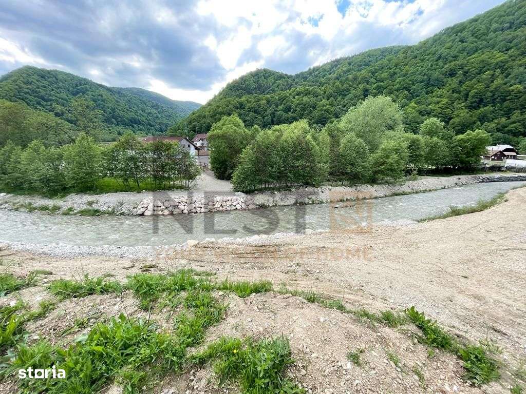 COMISION 0%! Teren superb la Plaiul Foii, pe malul Barsei-7