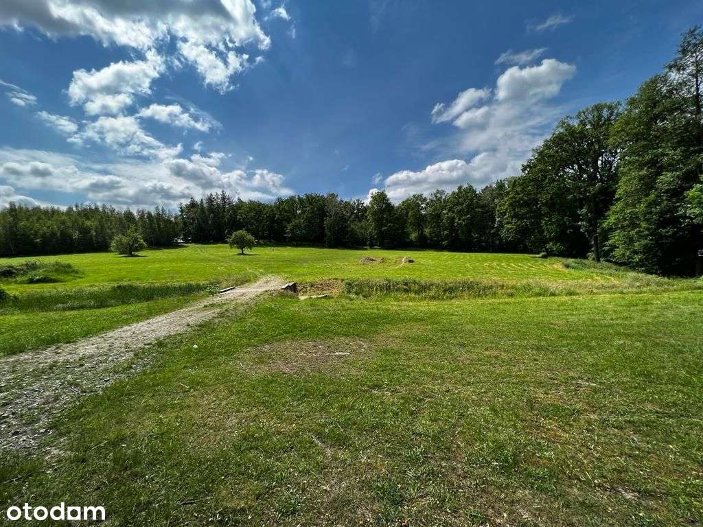 Urokliwa działka zagrodowa w otoczeniu lasu - Pełny obrazek: 2/11