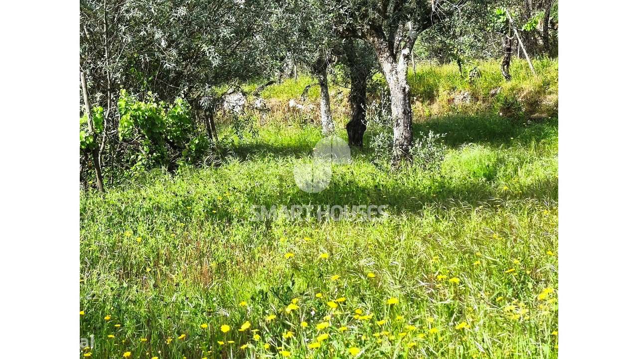 Quintinha em Vila do Mato-18