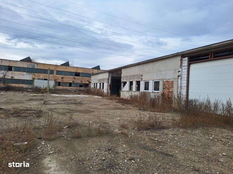 Hale de vanzare cu o suprafata totala de 5440 mp - Imagine principală: 2/7