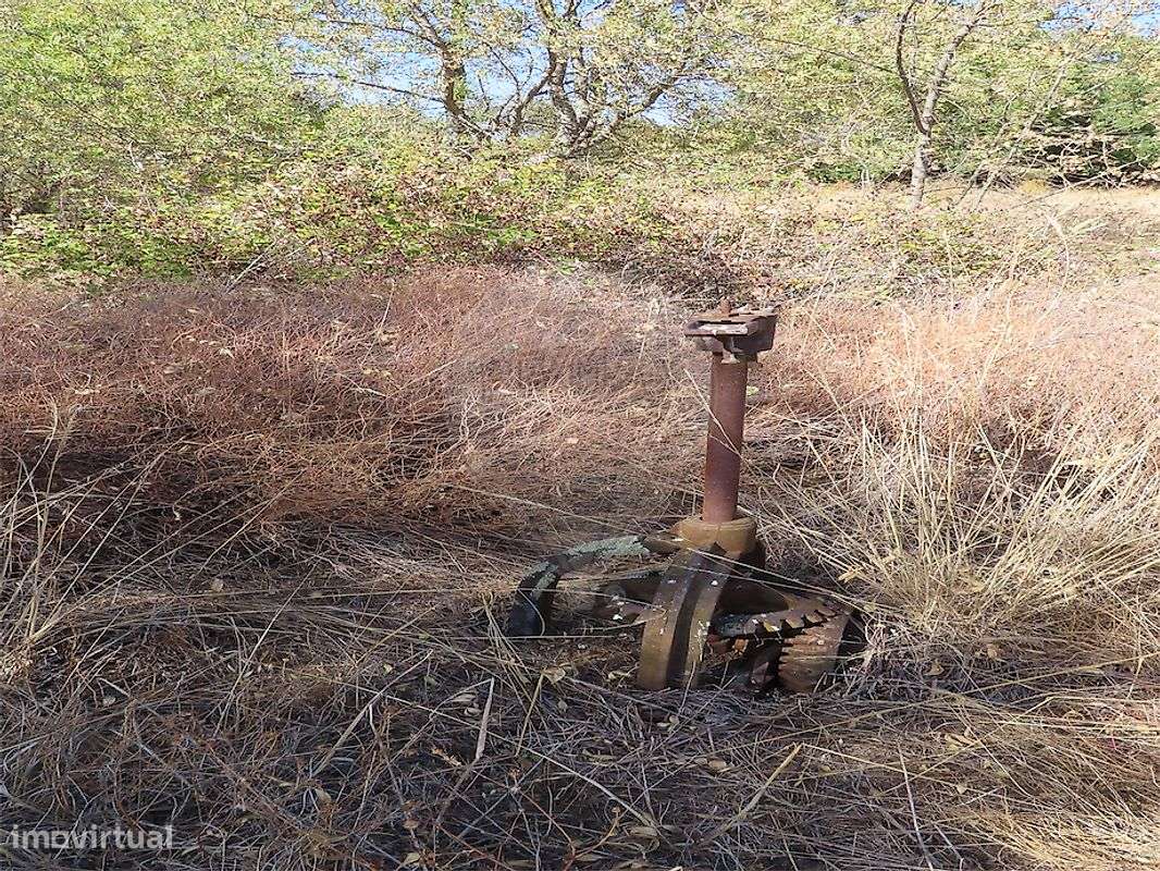 Quinta  para venda-13