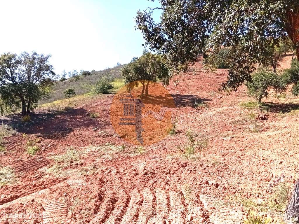 Terreno Rústico com Poço - Grande imagem: 5/10