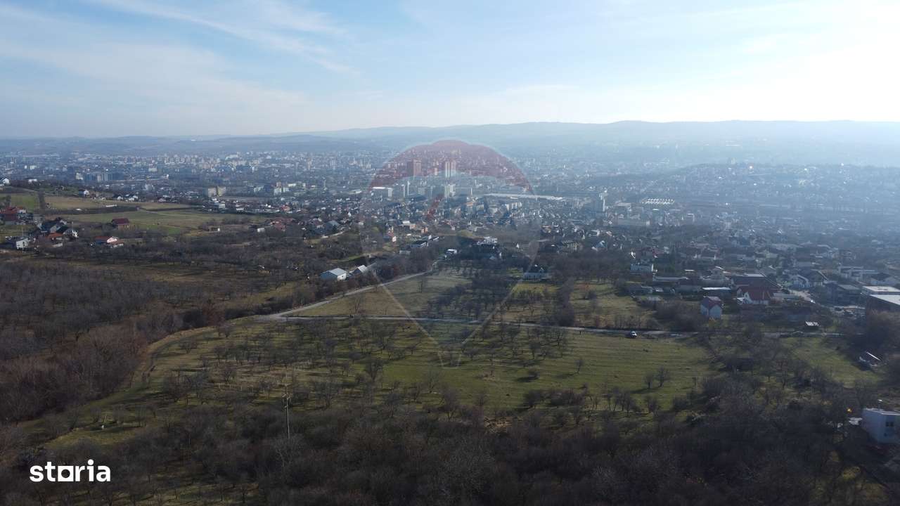 Teren 20.146 mp Dâmbu Rotund (Lomb).Extravilan.Potențial rezidențial-6