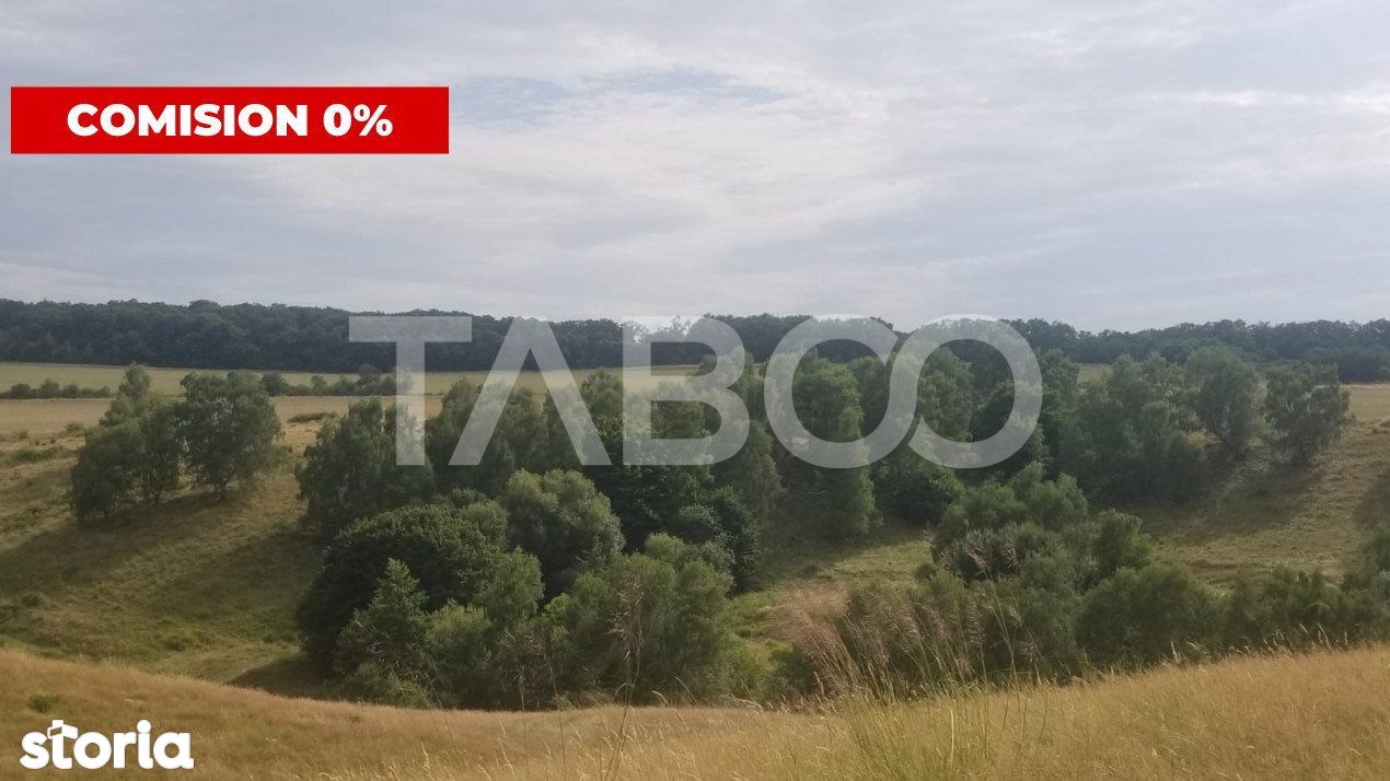 De vanzare comision 0% teren extravilan 14700 mp in Seica Mare Sibiu