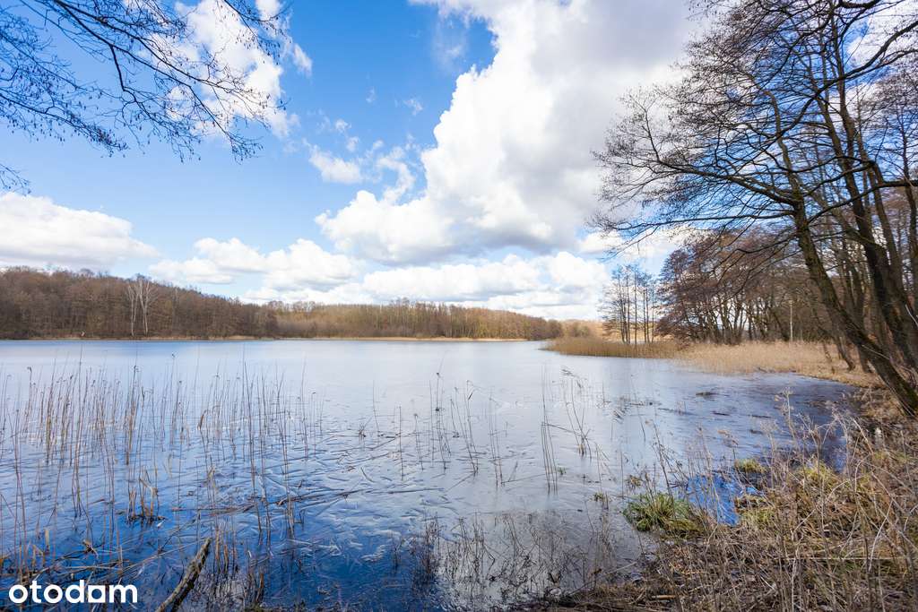 2 pokoje z ogrodem, las i jezioro-10