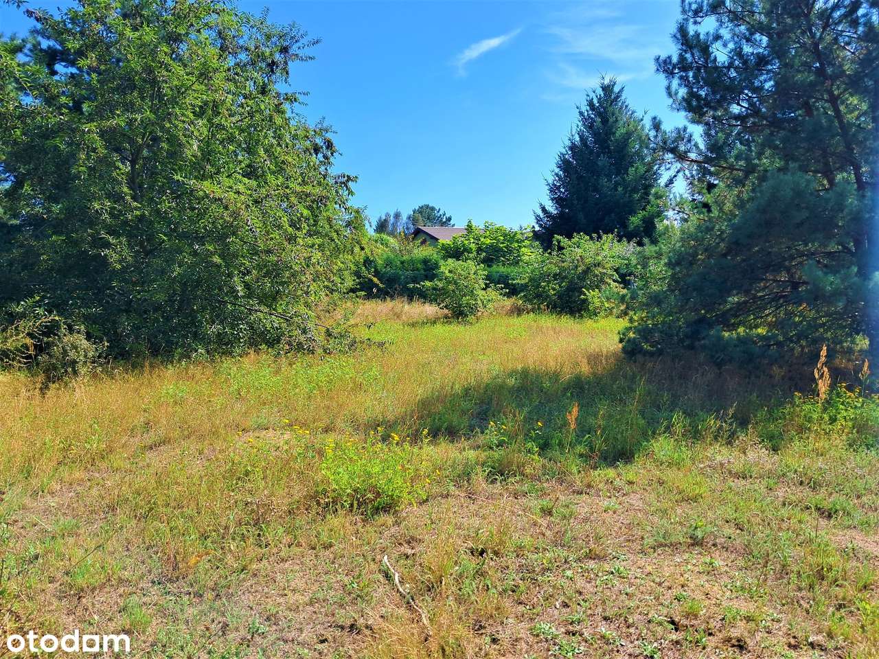 Działka w Obrzycku w pobliżu rzeki i lasu - Pełny obrazek: 4/10