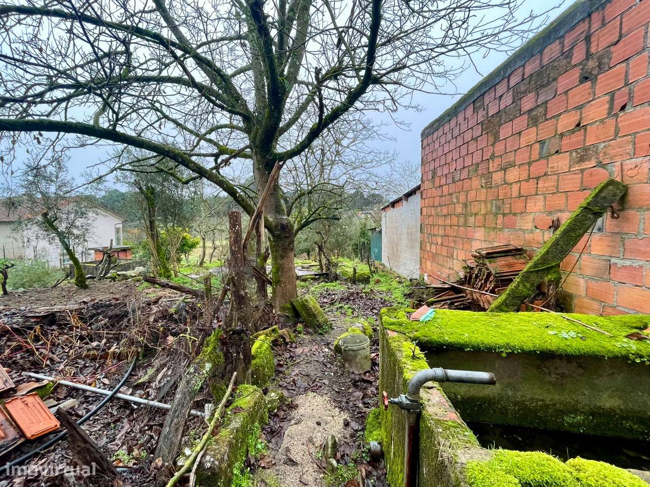 Moradia para Recuperar em Teomil, Tondela-12