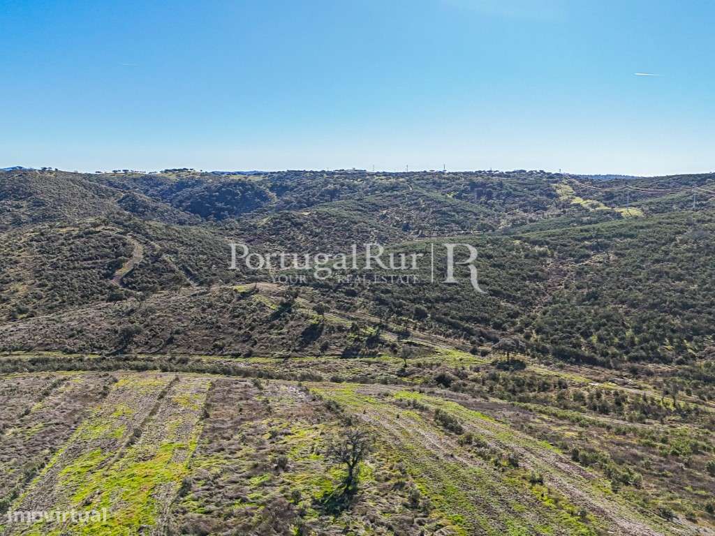 Herdade de Caça Maior com 1000 Hectares + 4 Apartamentos + Anexos-42